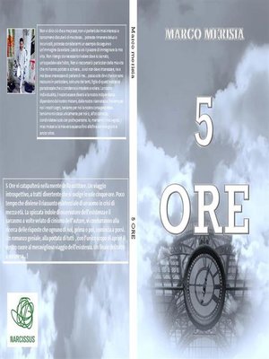 cover image of 5 Ore
